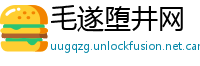 毛遂堕井网